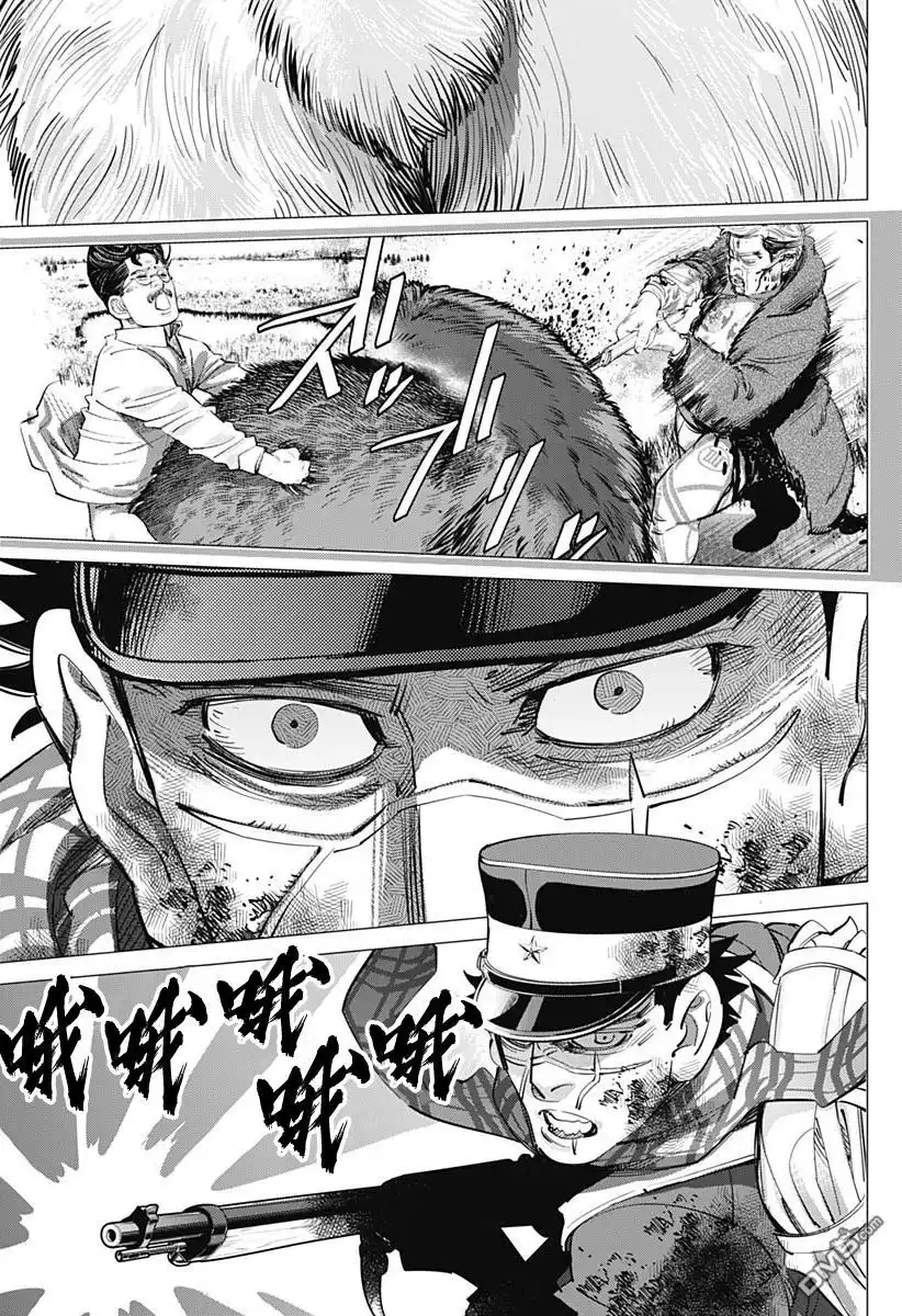 《黄金神威》第216话 谜之白熊 第11页