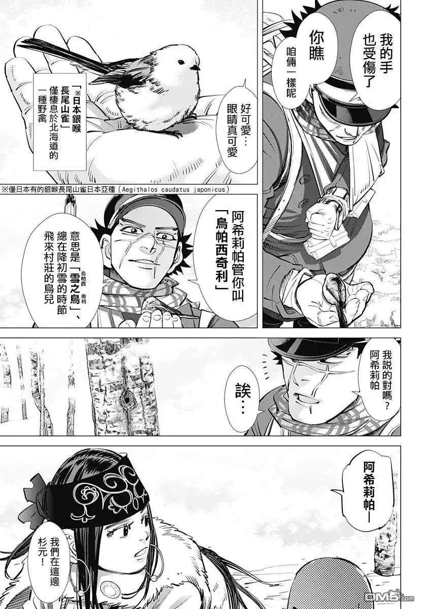 《黄金神威》第228话 银喉长尾山雀 第3页