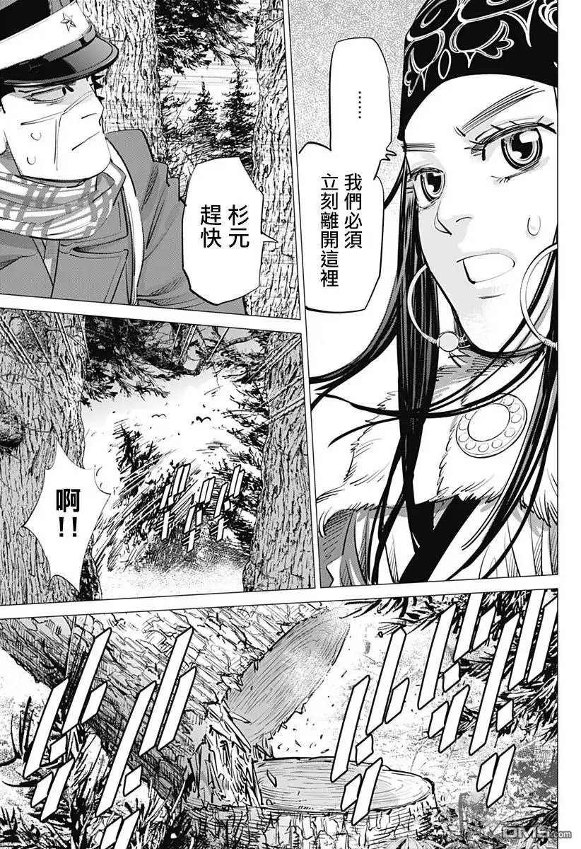 《黄金神威》第241话 消失的卡姆伊 第16页