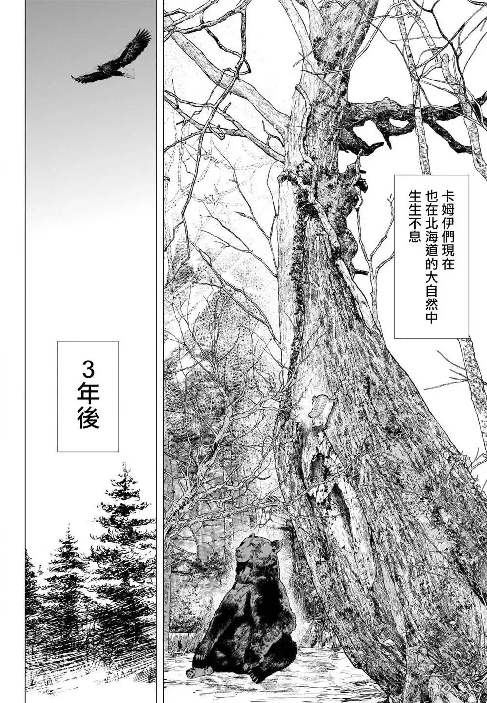 《黄金神威》第314话 大团圆 第21页