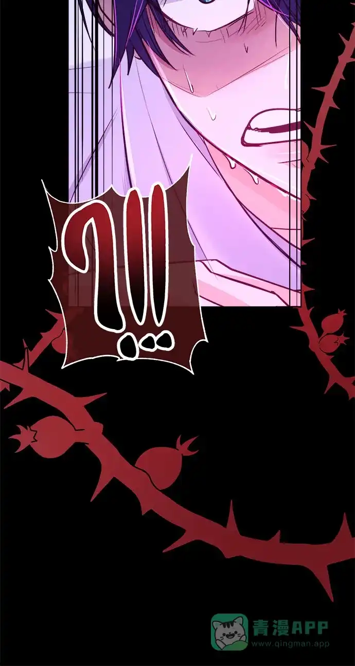 皇女的珠宝盒 第34话 第47页