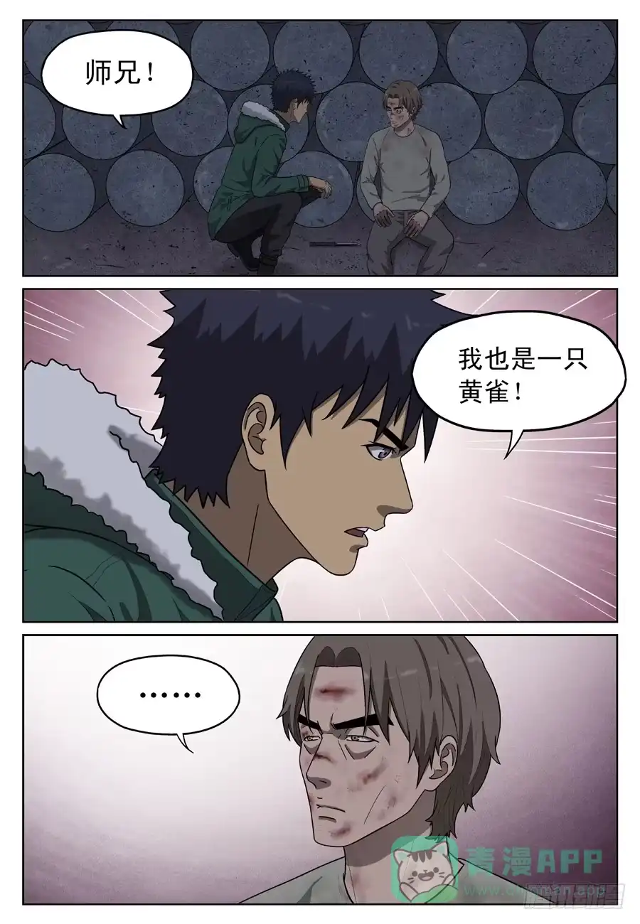 《黄雀》陷阱 第1页