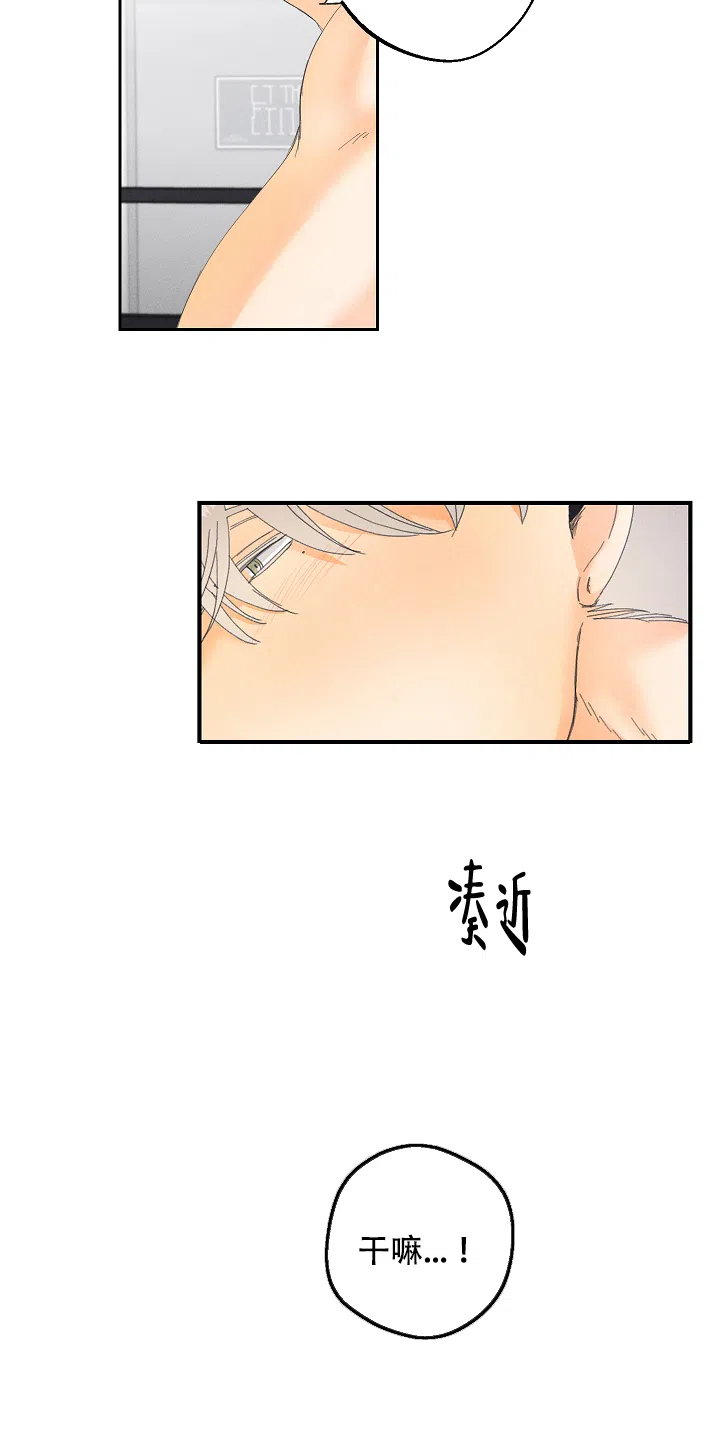 《黄色进化》第31话 第7页