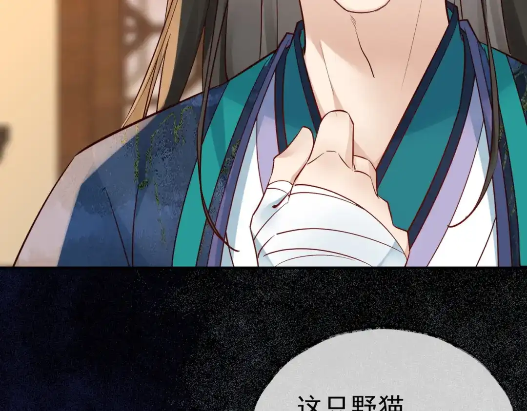 《皇叔宠我入骨》009话 野猫抓的~ 第52页