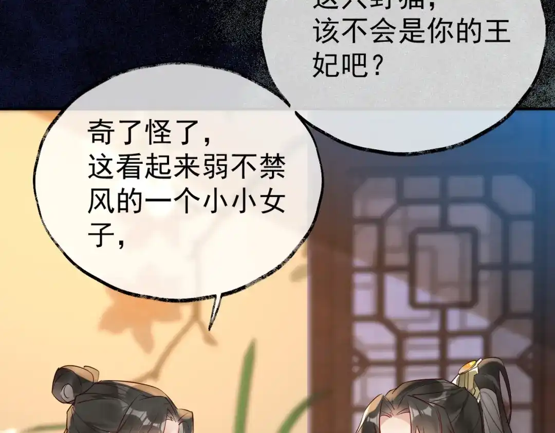 《皇叔宠我入骨》009话 野猫抓的~ 第53页