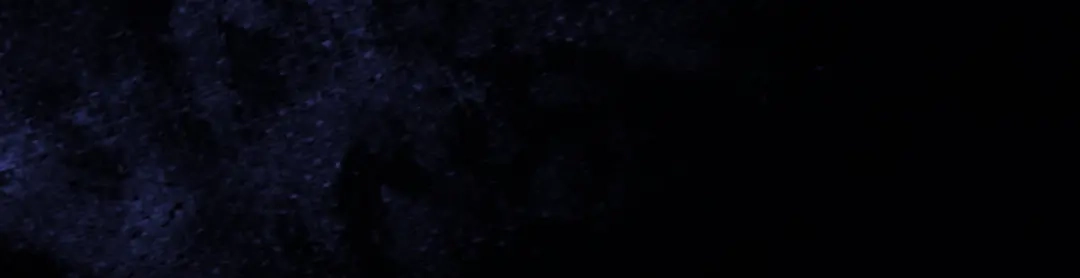 《皇叔宠我入骨》011 喝醉 第80页