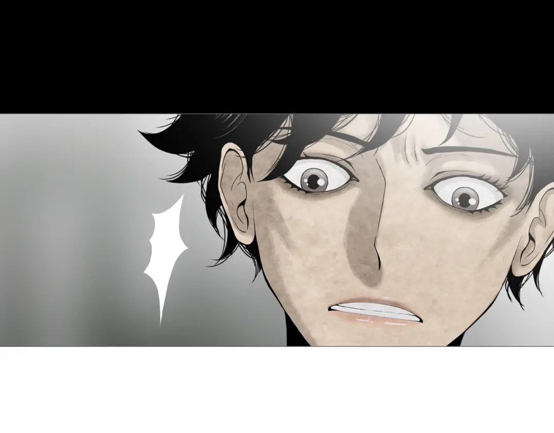 《环形公寓》第17章 收藏品 第5页