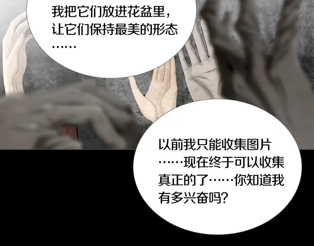 《环形公寓》第17章 收藏品 第48页