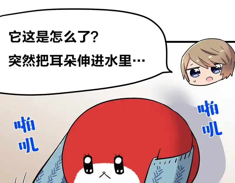 《欢迎来到兽耳庄》四格3 和啾啾一起玩耍 第22页