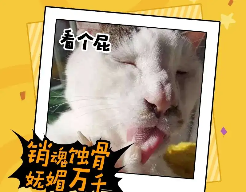 《欢迎来到兽耳庄》四格4 价值观 第39页