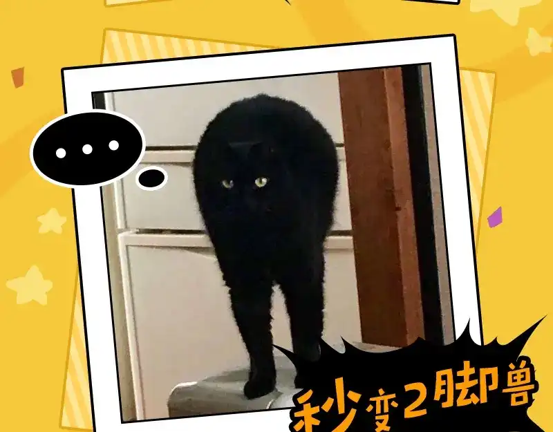 《欢迎来到兽耳庄》四格4 价值观 第37页
