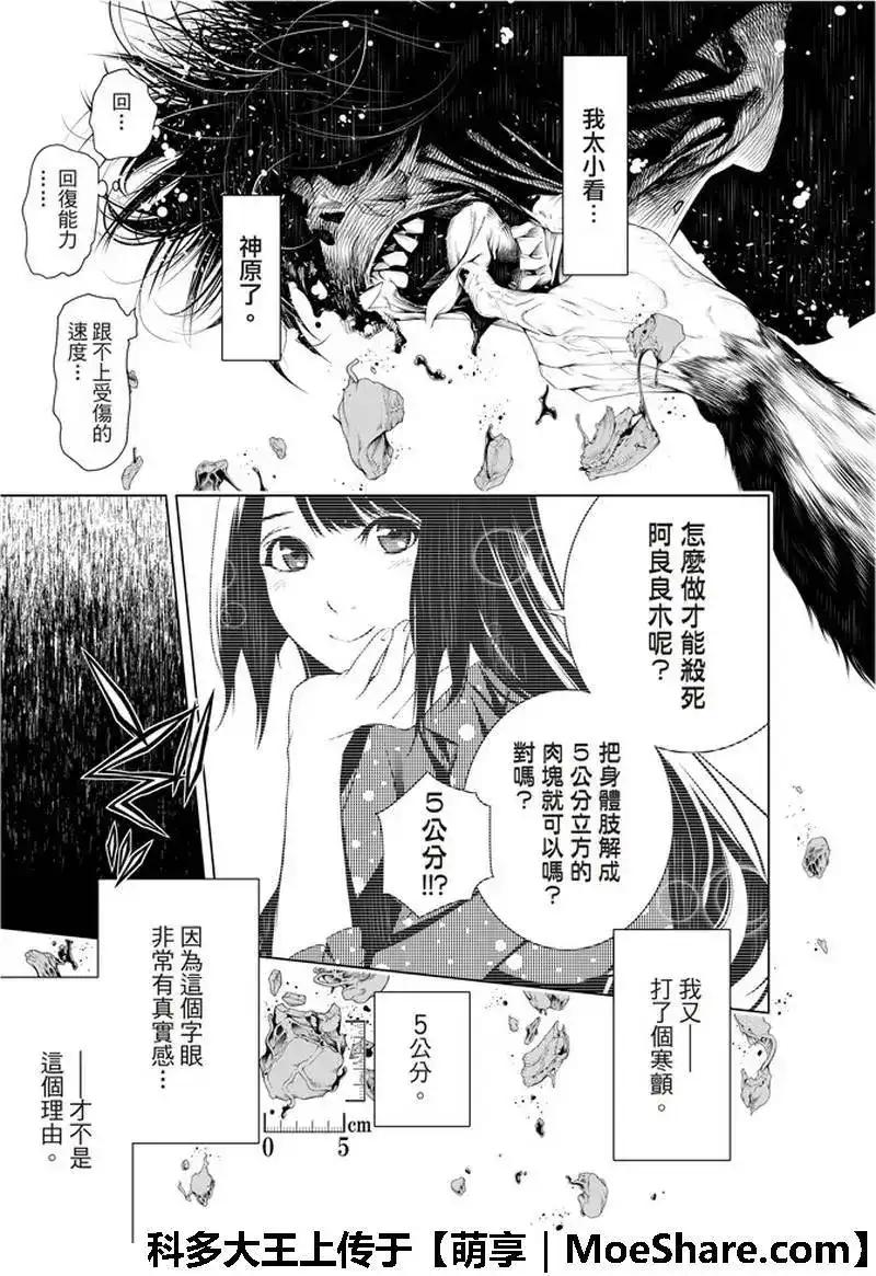 《化物语》单话 第41话 第16页