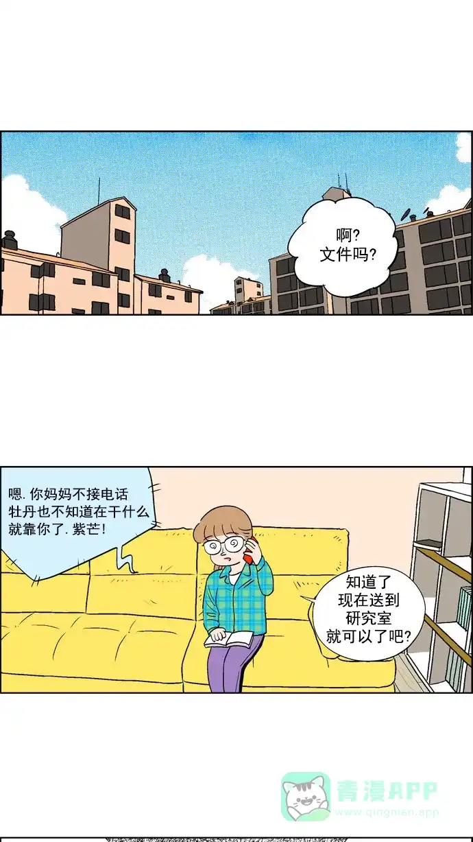 《花样家族》[第67话] 紫芒和阿俊(3) 第13页