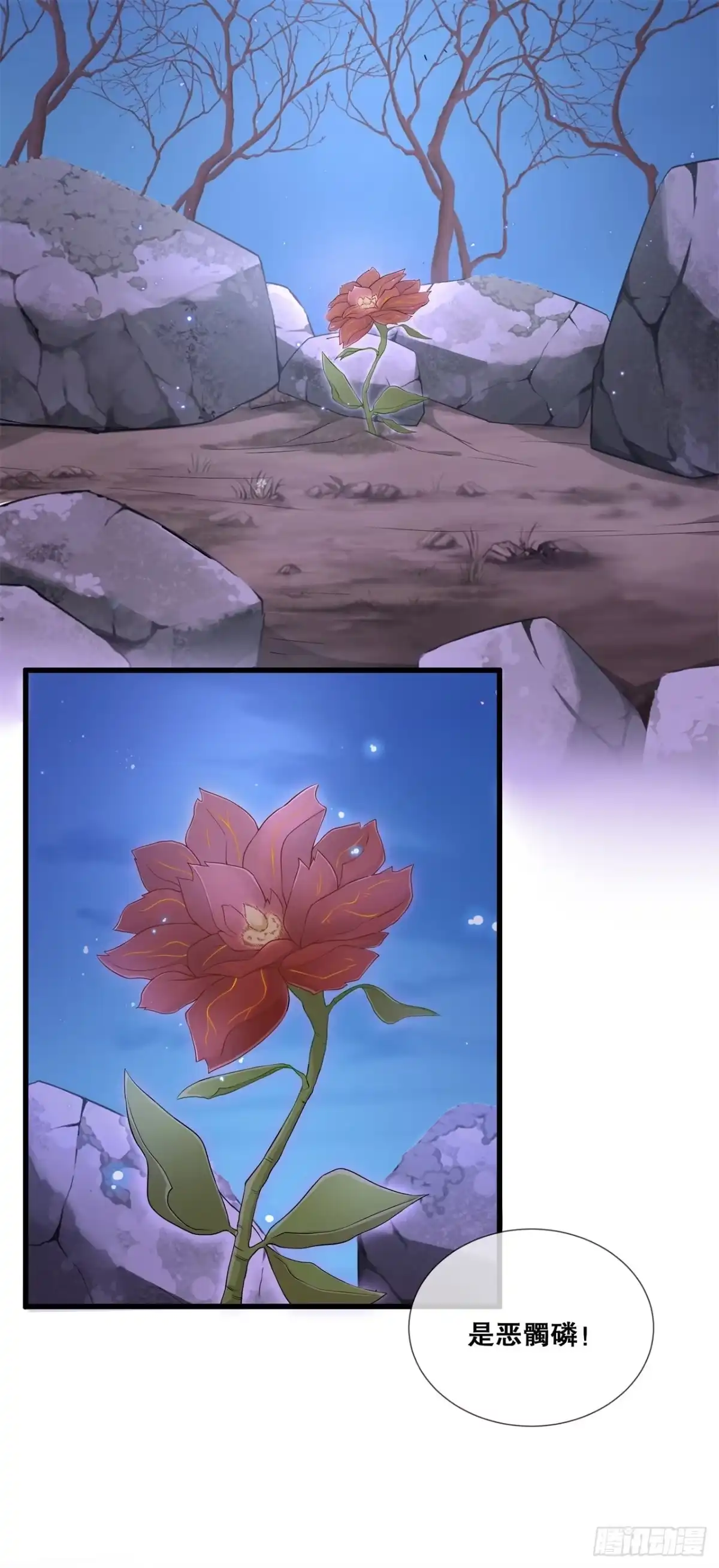 《狐妃，别惹火2》第五十六话-危险 第12页