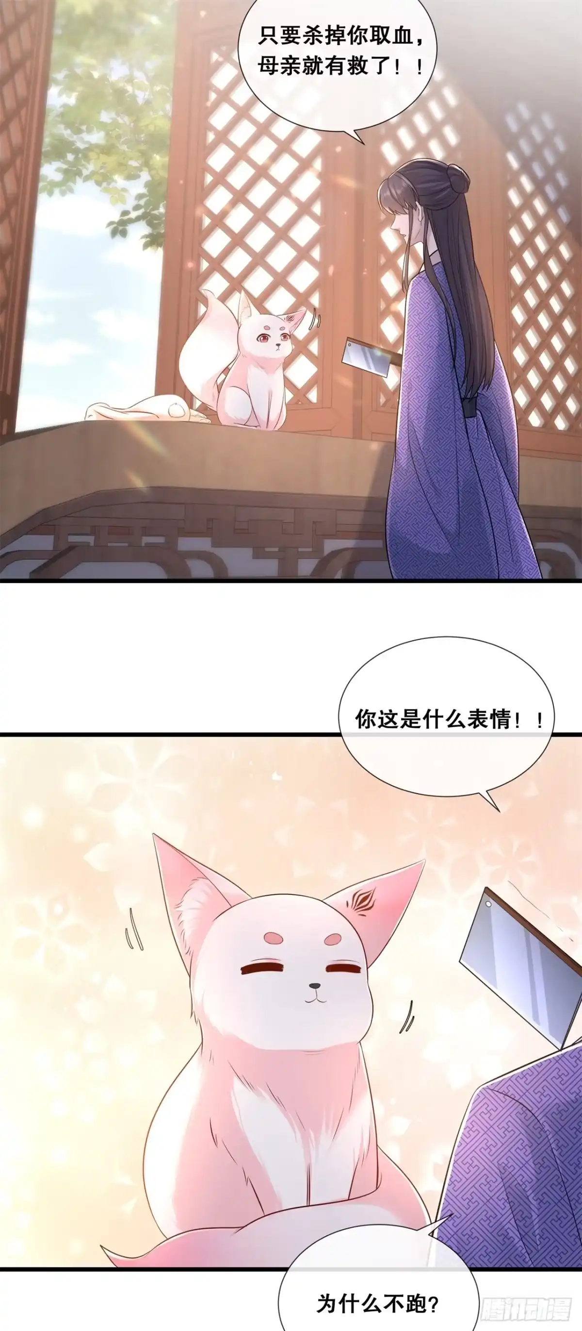 《狐妃，别惹火2》第七十五话-你是我的家人 第11页
