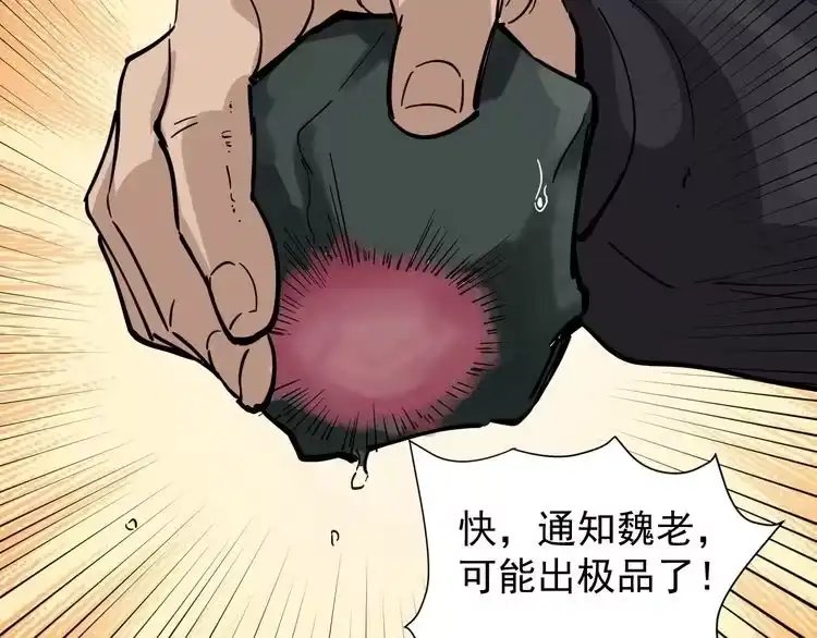 《回春小毒医》第31话 芙蓉玉 第111页