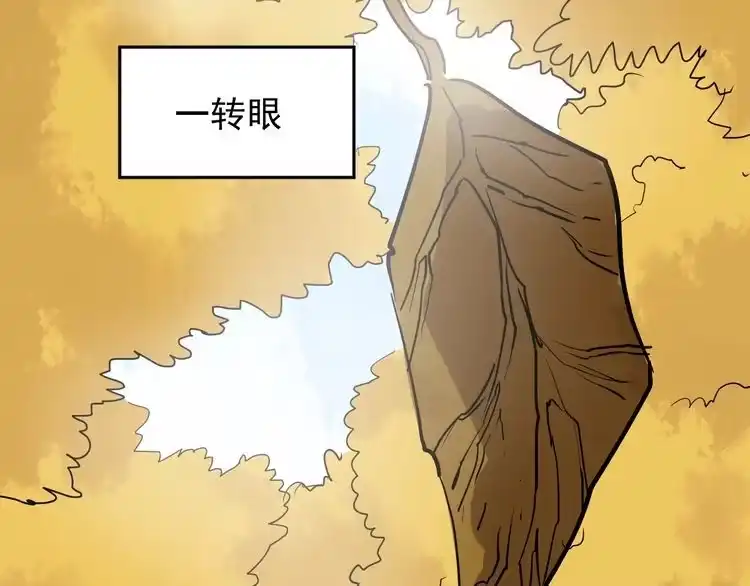 《回春小毒医》第36话 曾经现在将来 第12页