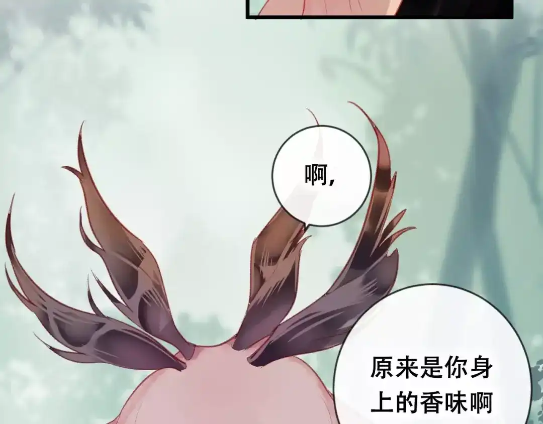 《狐冥之乡》第17话 神秘剑客 第40页