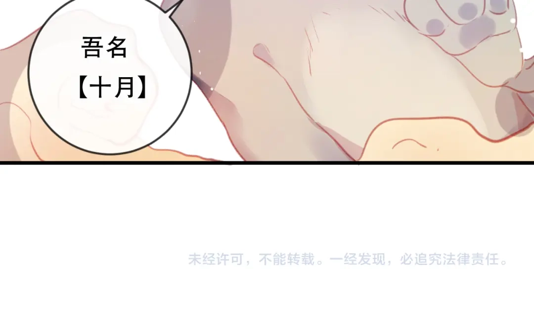 《狐冥之乡》第40话 最后的敌人 第66页