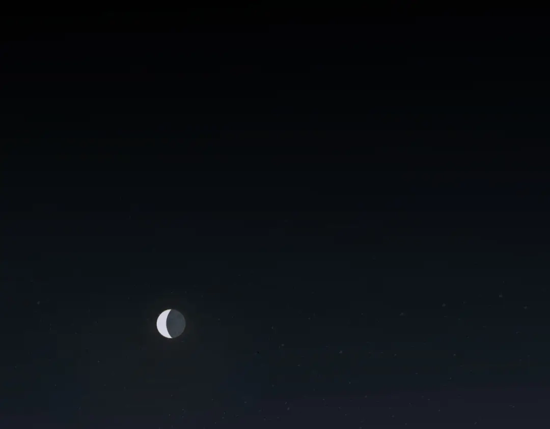 《活海》最终话 诞生 第48页