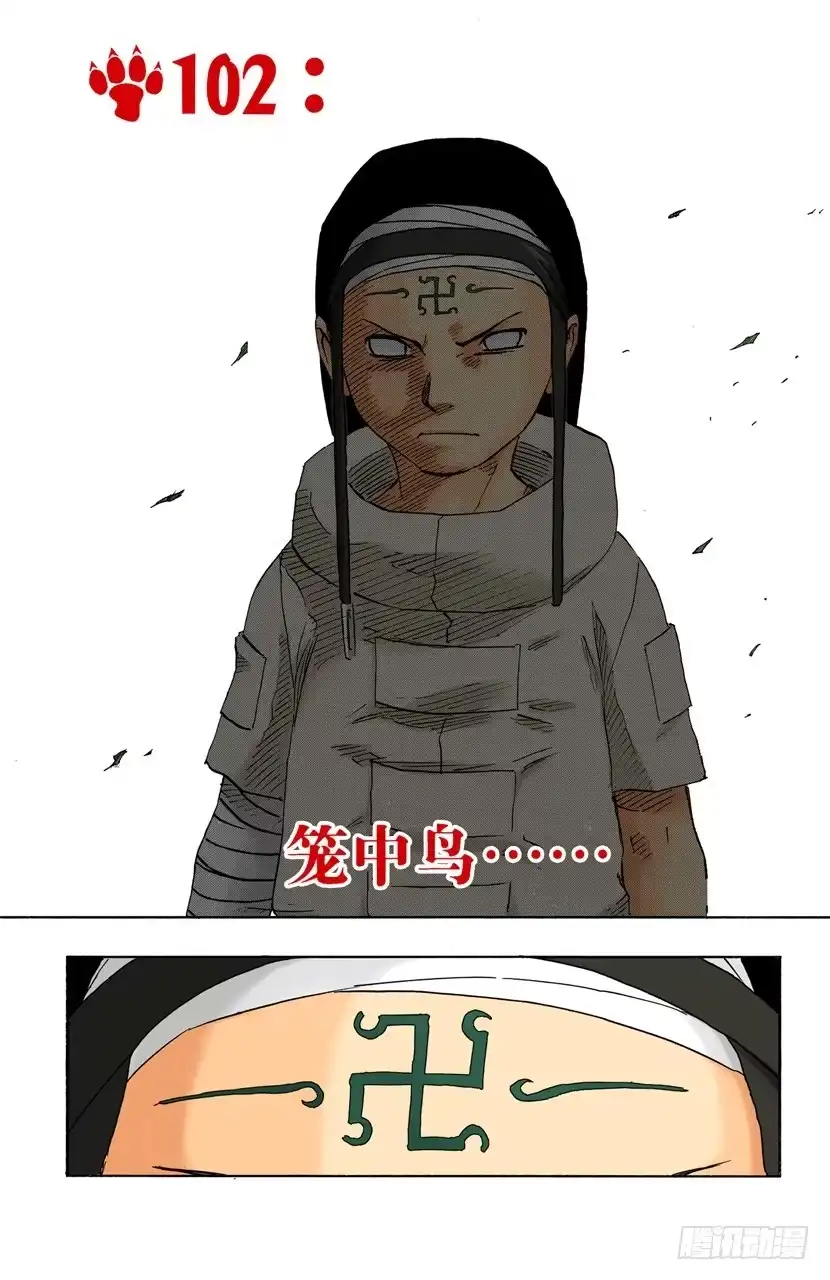 《火影忍者（全彩版）》第102话 笼中鸟…… 第4页