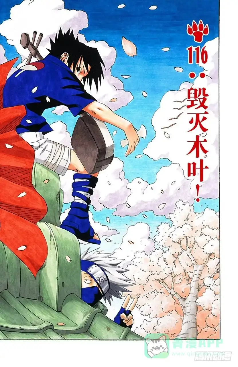 《火影忍者（全彩版）》第116话 毁灭木叶！ 第1页