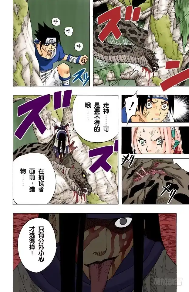 《火影忍者（全彩版）》第47话 捕食者！ 第18页