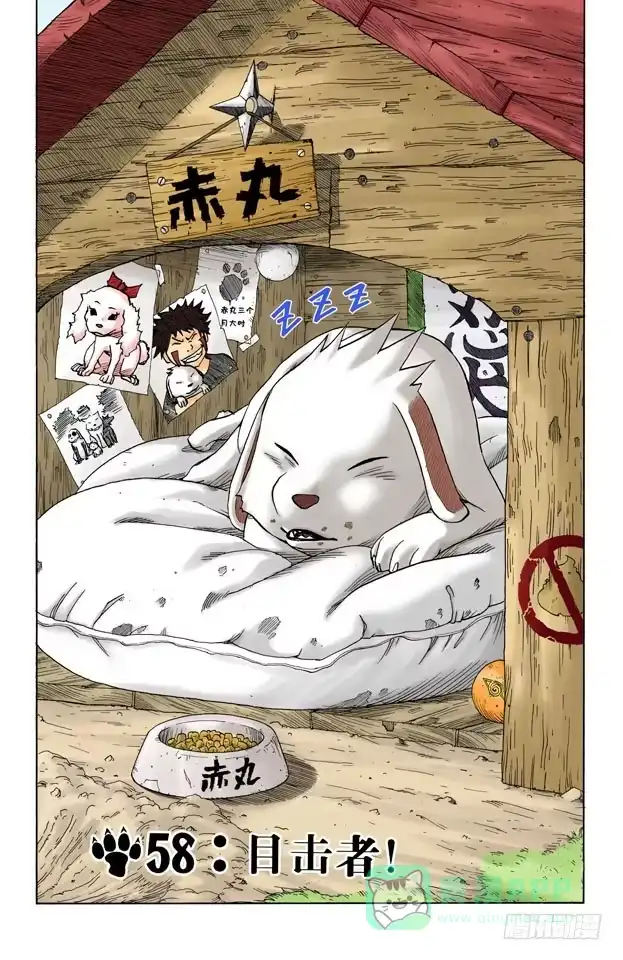 《火影忍者（全彩版）》第58话 目击者！ 第1页