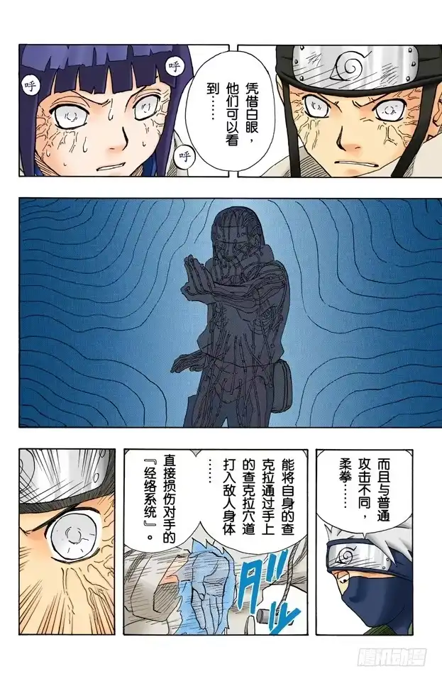 《火影忍者（全彩版）》第79话 日向一族 第12页