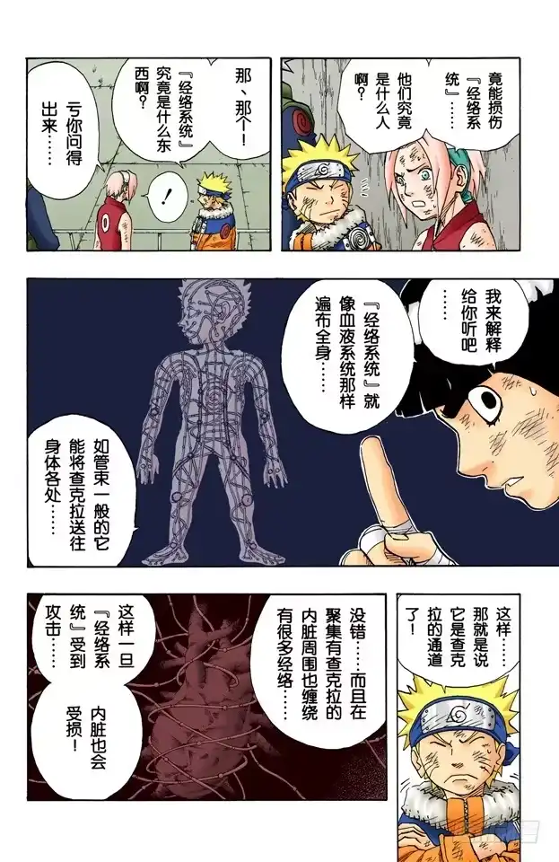 《火影忍者（全彩版）》第79话 日向一族 第10页