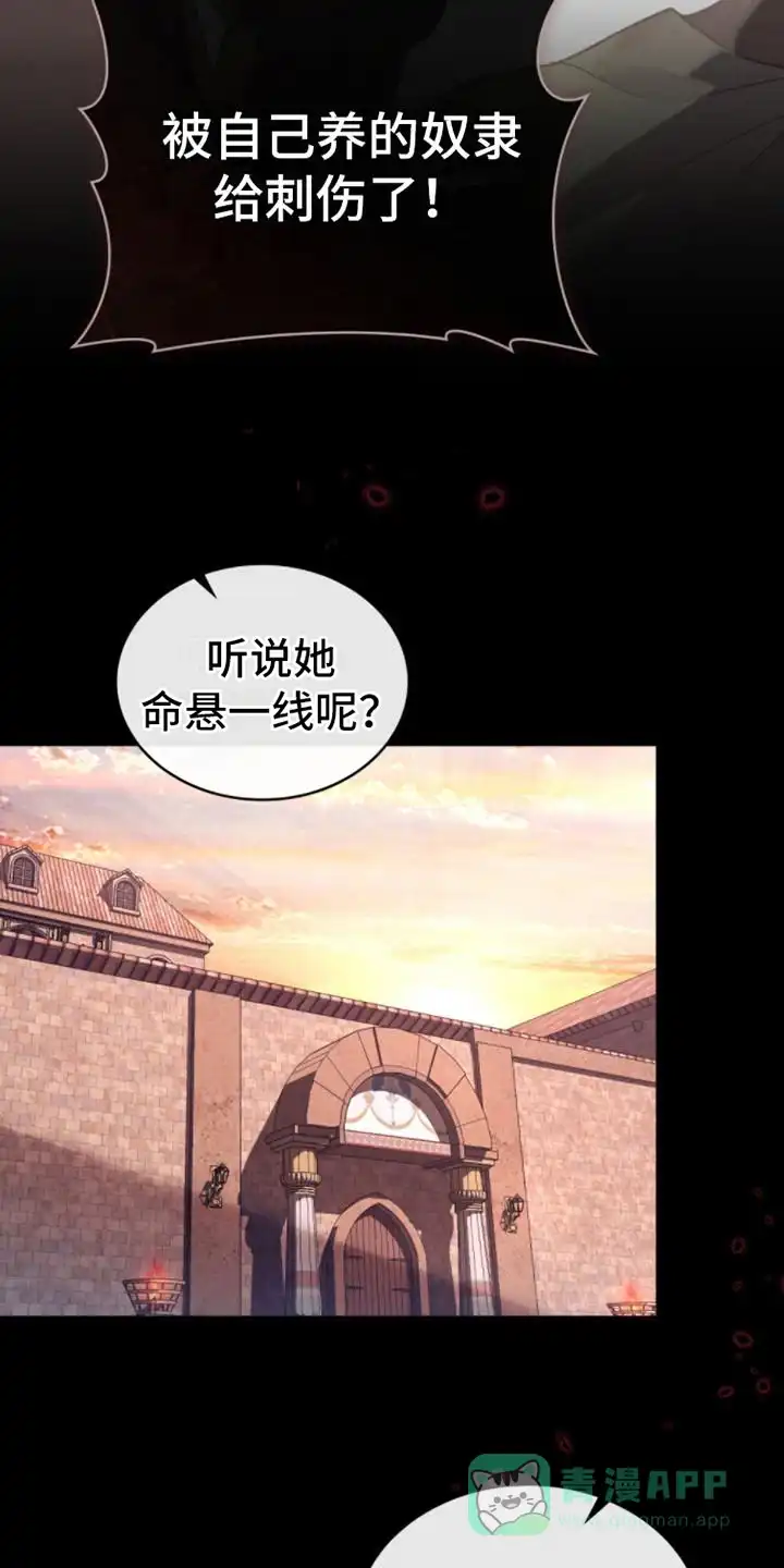 《琥珀魅影》第1话 第21页