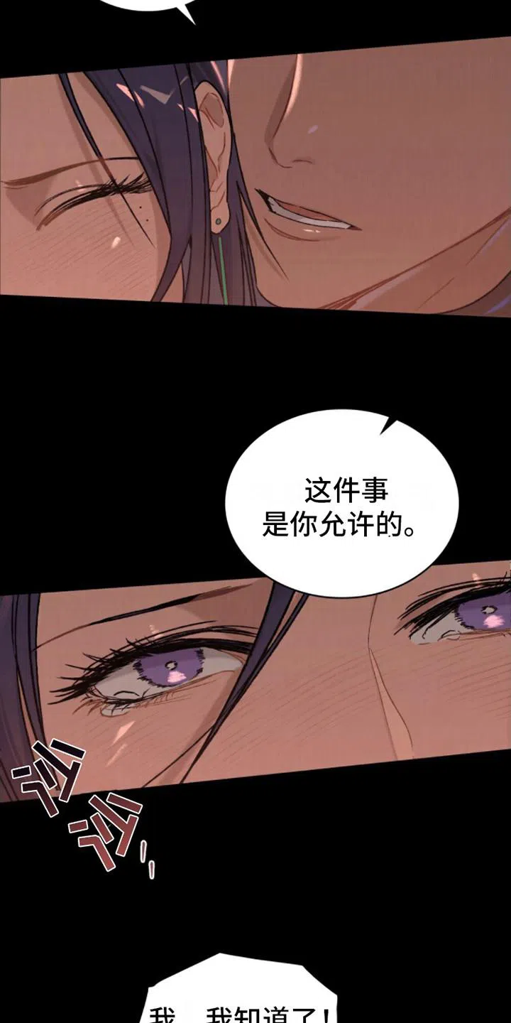 《琥珀魅影》第1话 第4页