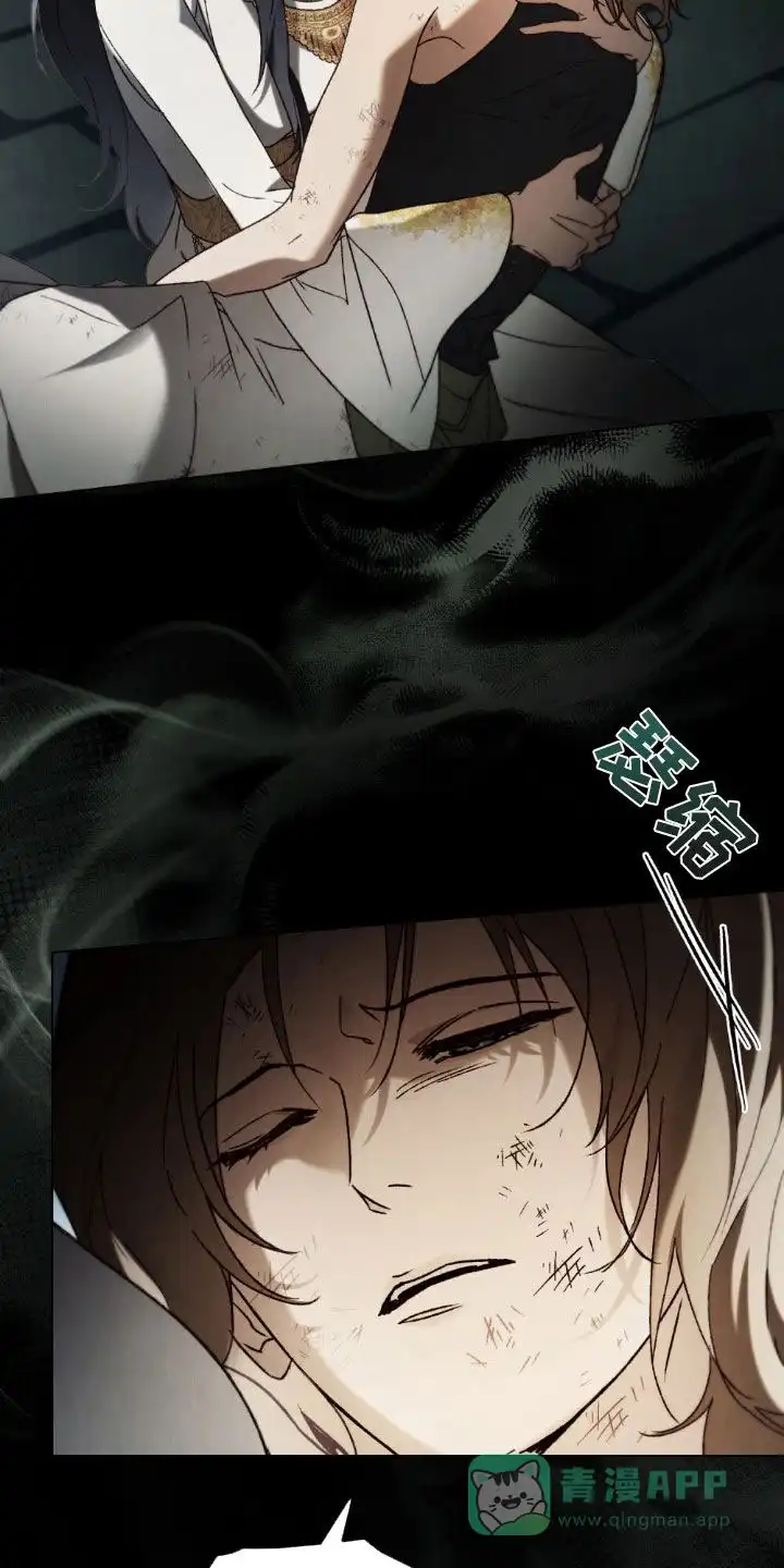 《琥珀魅影》第101话 第11页