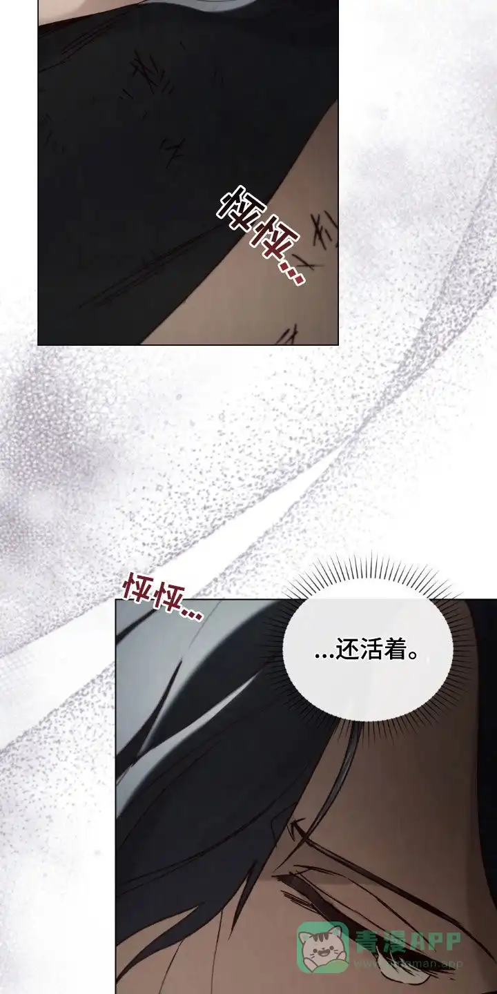 《琥珀魅影》第101话 第16页
