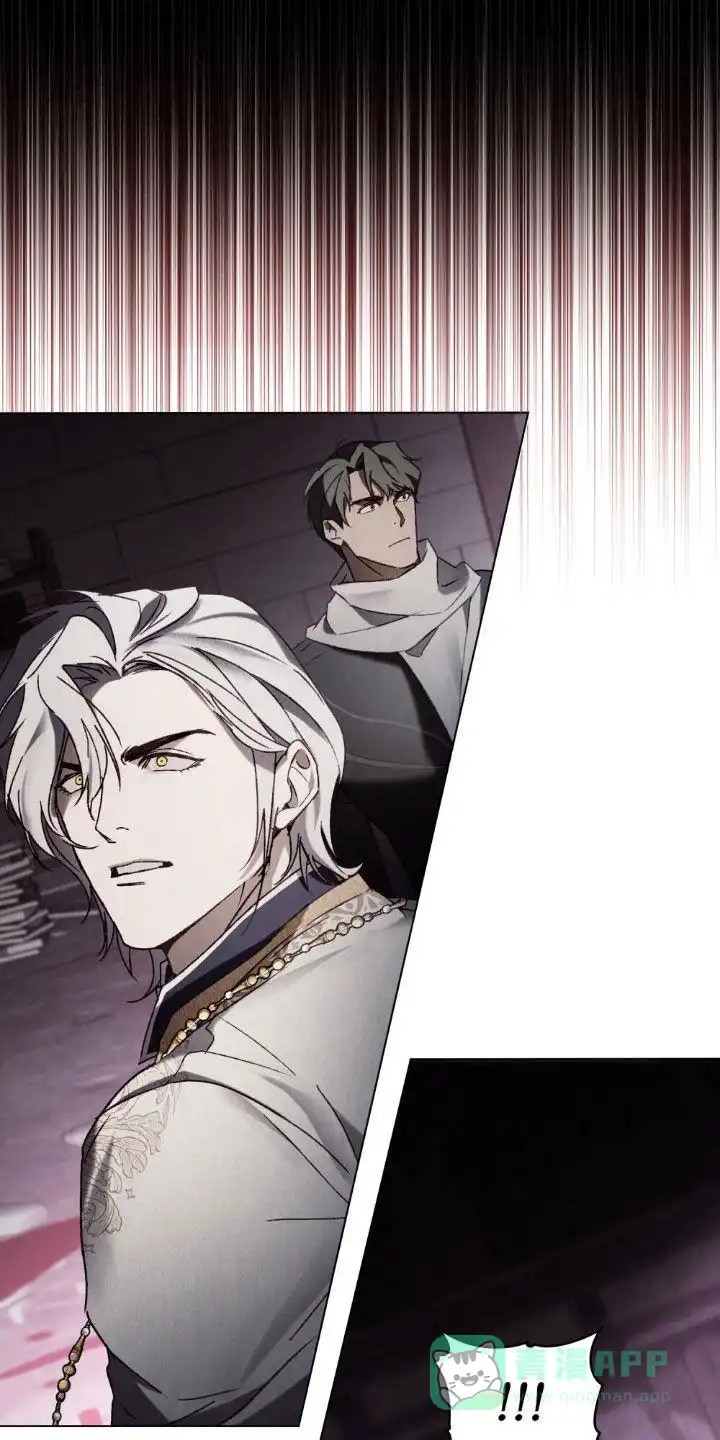 《琥珀魅影》第105话 第41页