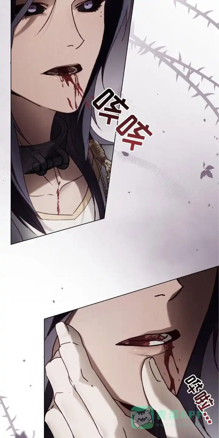 《琥珀魅影》第106话 第6页