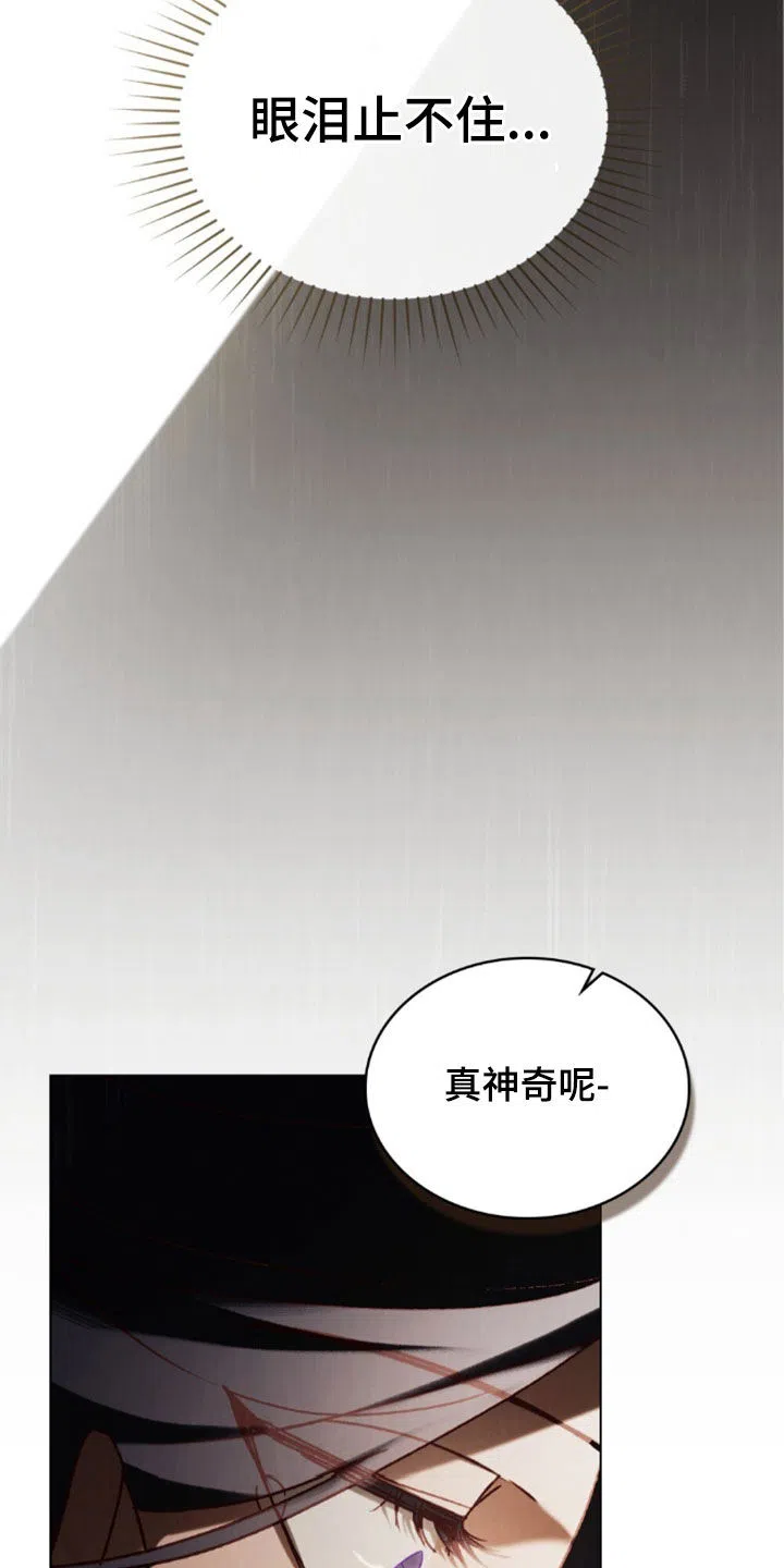 《琥珀魅影》第107话 第15页