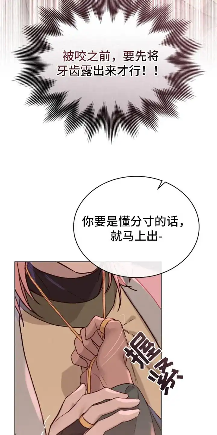 《琥珀魅影》第11话 第15页
