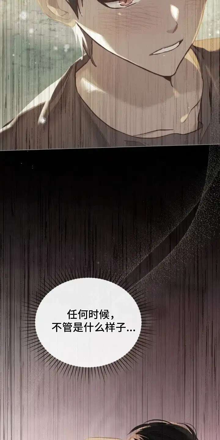 《琥珀魅影》第111话 第3页
