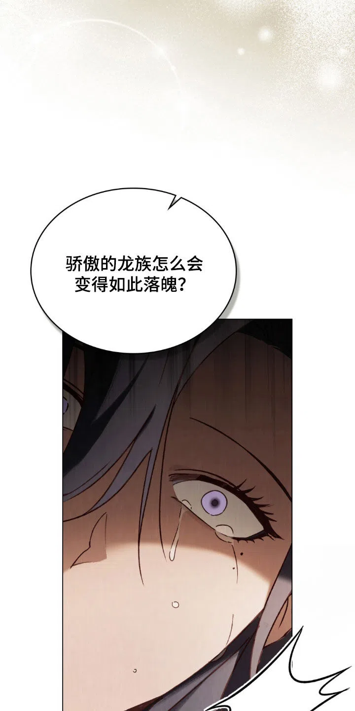 《琥珀魅影》第111话 第8页