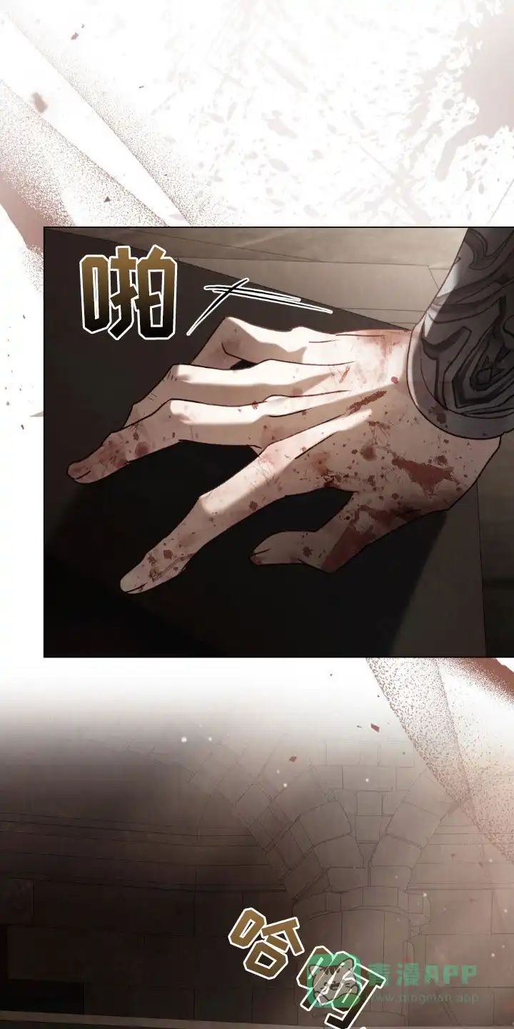 《琥珀魅影》第113话 第16页