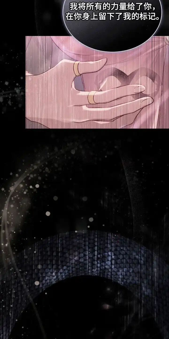 《琥珀魅影》第115话 第25页