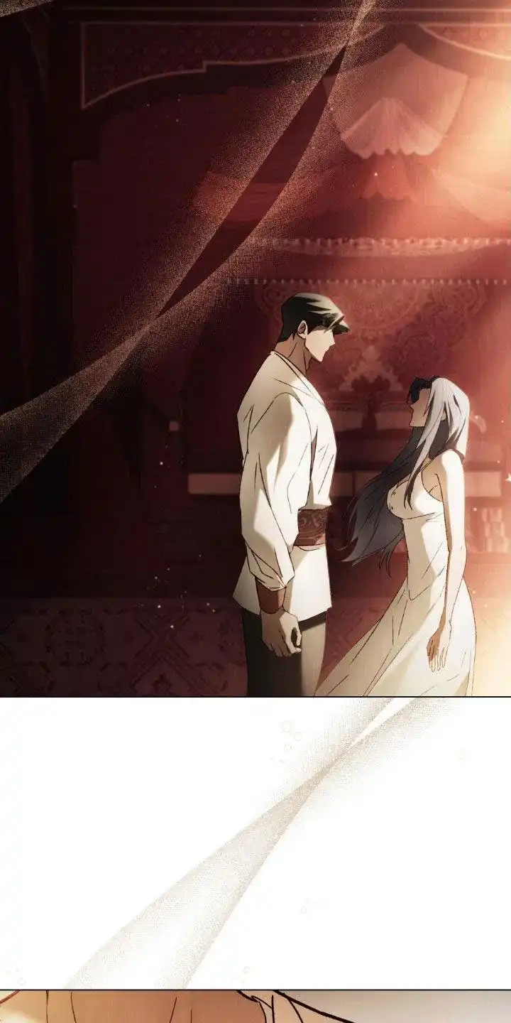 《琥珀魅影》第117话 第12页