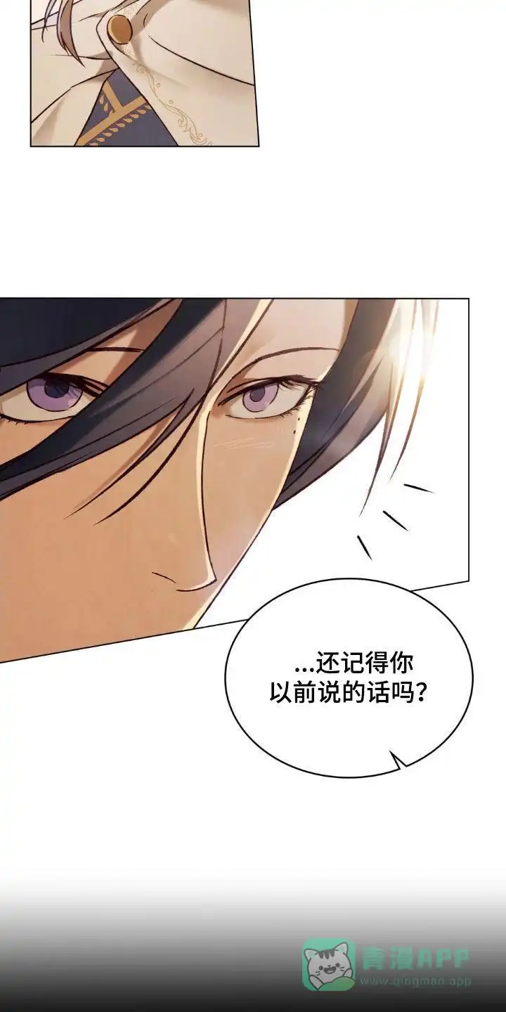 《琥珀魅影》第120话 第6页