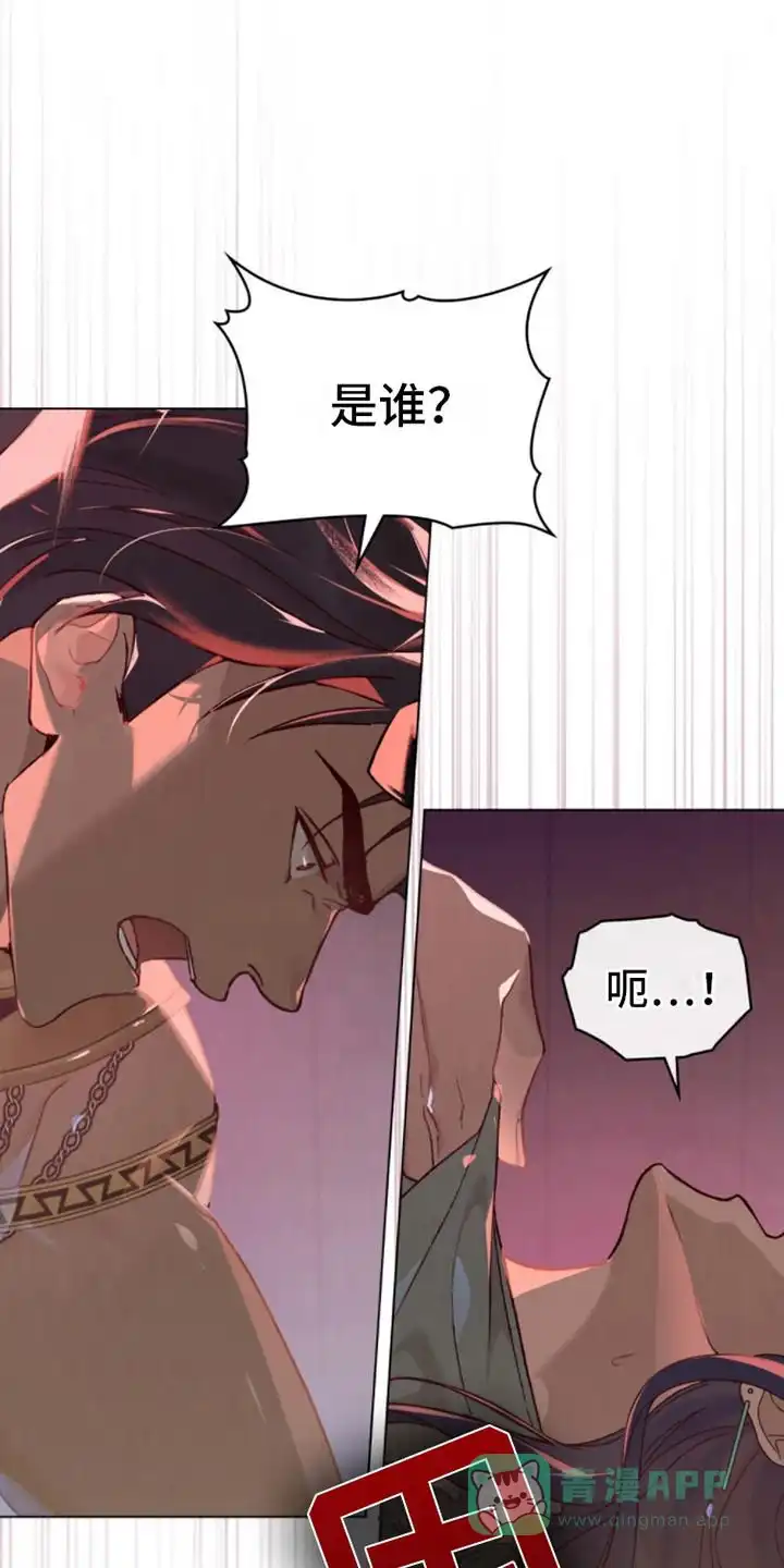 《琥珀魅影》第17话 第1页