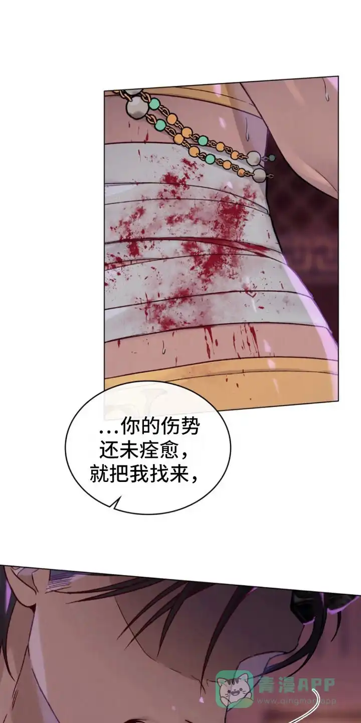 《琥珀魅影》第2话 第21页