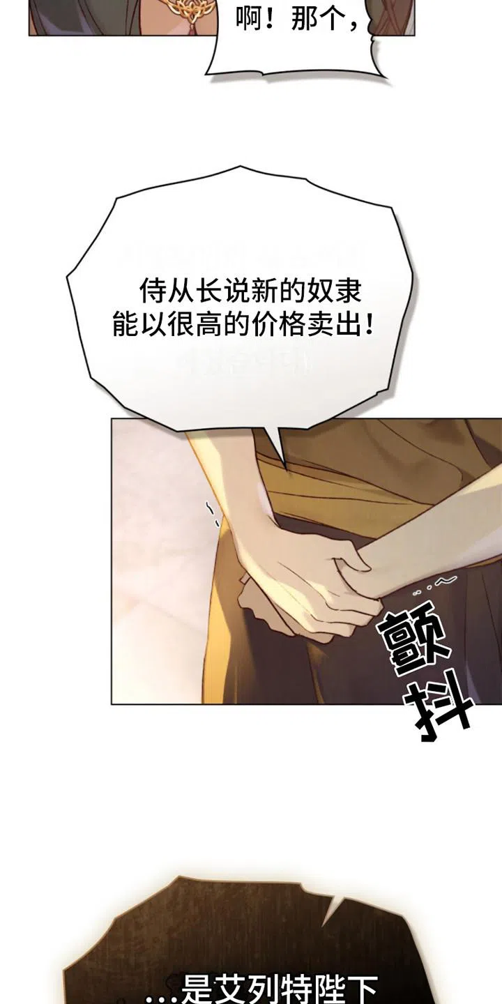 《琥珀魅影》第20话 第8页