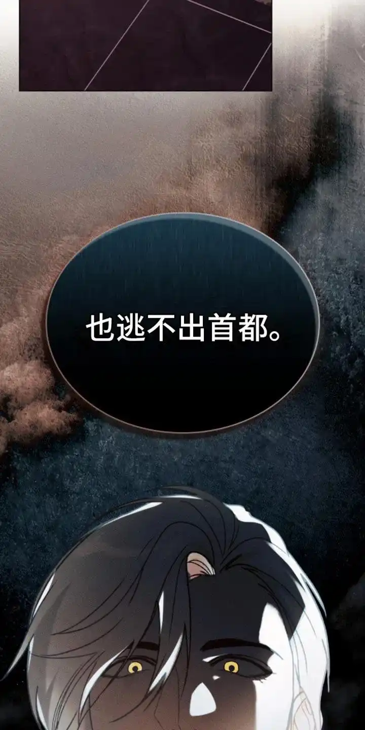 《琥珀魅影》第24话 第3页