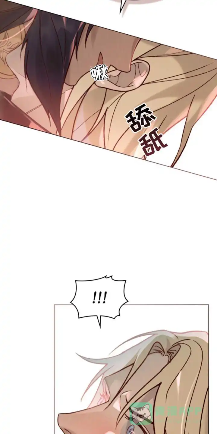 《琥珀魅影》第25话 第16页
