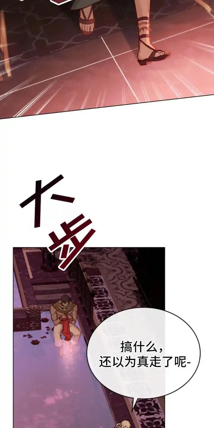 《琥珀魅影》第25话 第12页